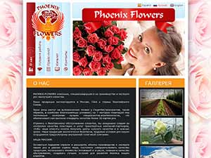 PHOENIX-FLOWERS
